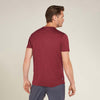 Icebreaker Merino 150 Tech Lite SS Tee Rising Light Men