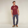 Icebreaker Merino 150 Tech Lite SS Tee Rising Light Men