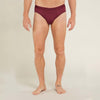 Icebreaker Anatomica Briefs Men