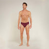 Icebreaker Anatomica Briefs Men